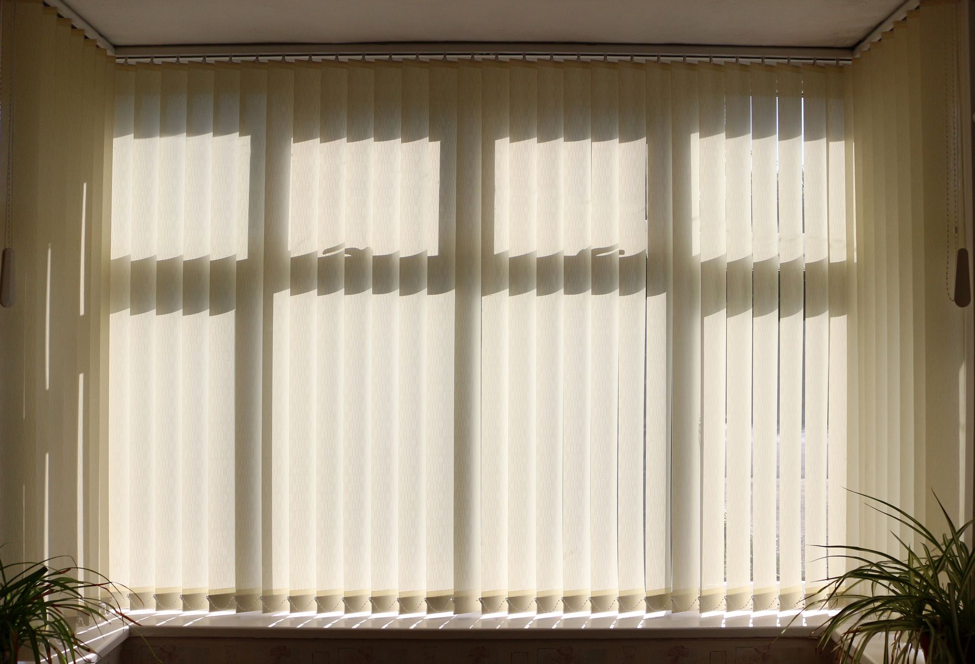 Fenêtre lumineuse avec stores verticaux et lumière du soleil filtrant à travers, encadrée de plantes en pot de chaque côté.