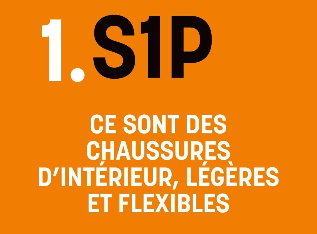 Descriptif de la norme S1P