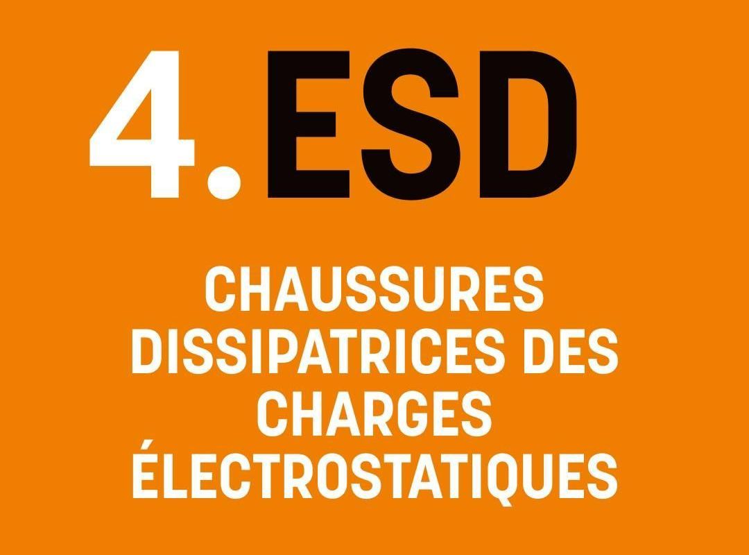 Descriptif de la norme ESD
