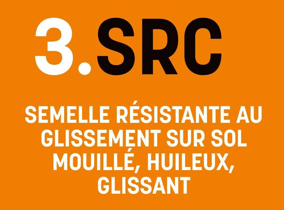 Descriptif de la norme SRC