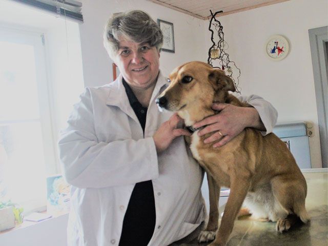 Tierärztin, Doktorin, Dr. med. vet. Barbara Grebenau- Klehr, Tierarzt, Heideck, Kleintierpraxis, kompetente Hilfe, Terminvergabe, kurze Wartezeiten, schulmedizinische Verfahren, Prophylaxe, Vorsorgeuntersuchungen, Impfungen, Parasitenprophylaxe, Ernährungsberatung, Labor, Röntgen, Verfügung, Operationen, Heimtieren, tierärztliche Hausapotheke, Medikamenten, Notfälle, Hausbesuche, Hunde, Katzen, Nager, Vögel, Reptilien, EU-Heimtierausweis, Microchip, Tätowierung, Diätfuttermittel, Akupunktur, Zahnbehandlung, Zahnreinigung, Naturheilverfahren, Homöopathie, Komplexmedizin, Phytotherapie, Eigenbluttherapie