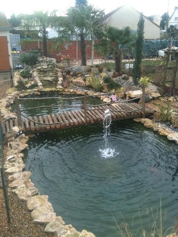 Bassin avec pont suspendu en bois