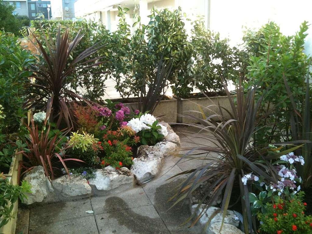 Aménagement extérieur pavage massif et arbre