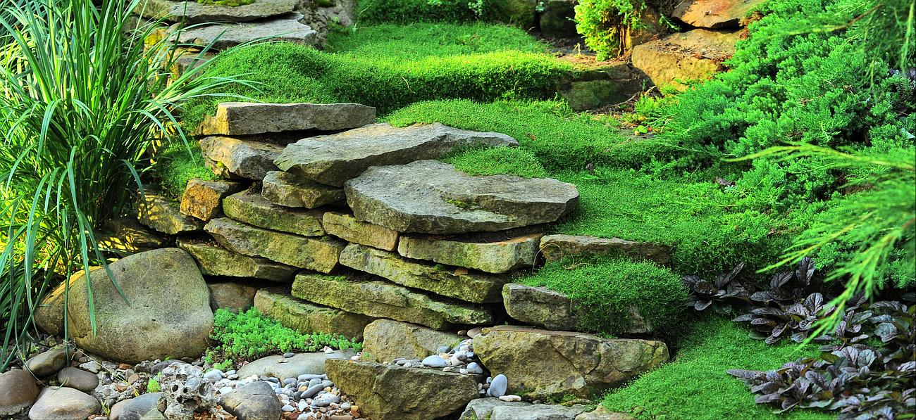 Massif dalle en pierre et mousse verte