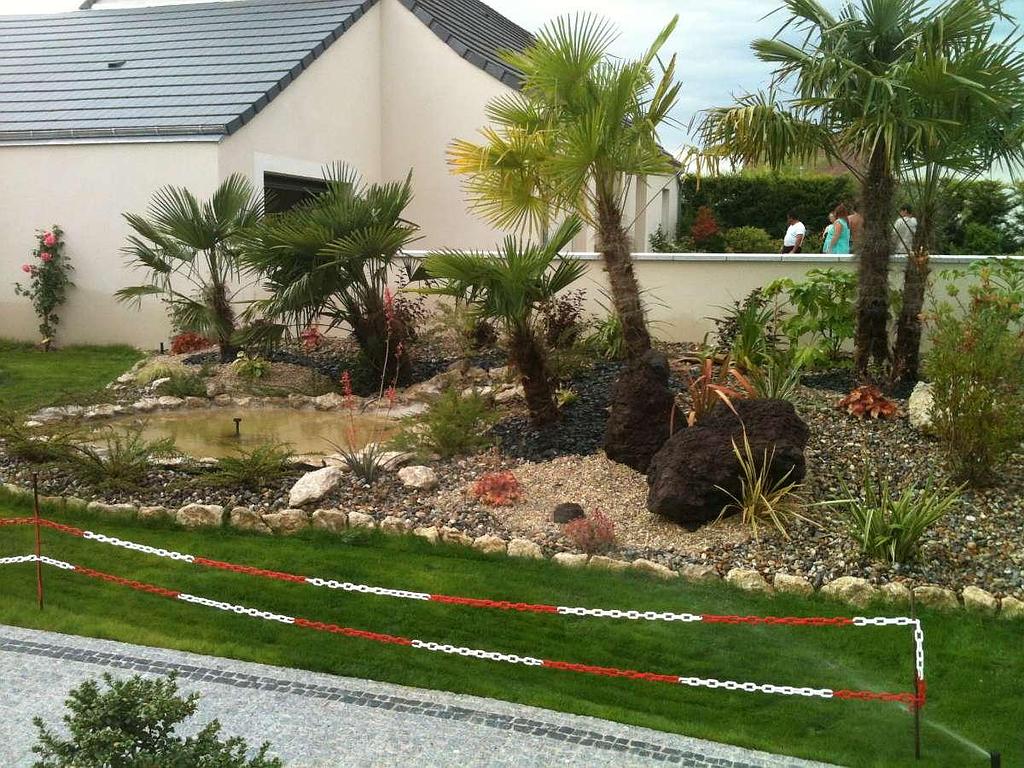 Massif extérieur jardin avec arbre planté