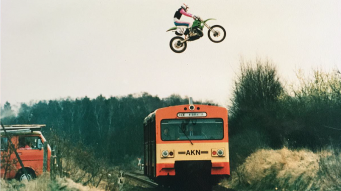 Baumfällung