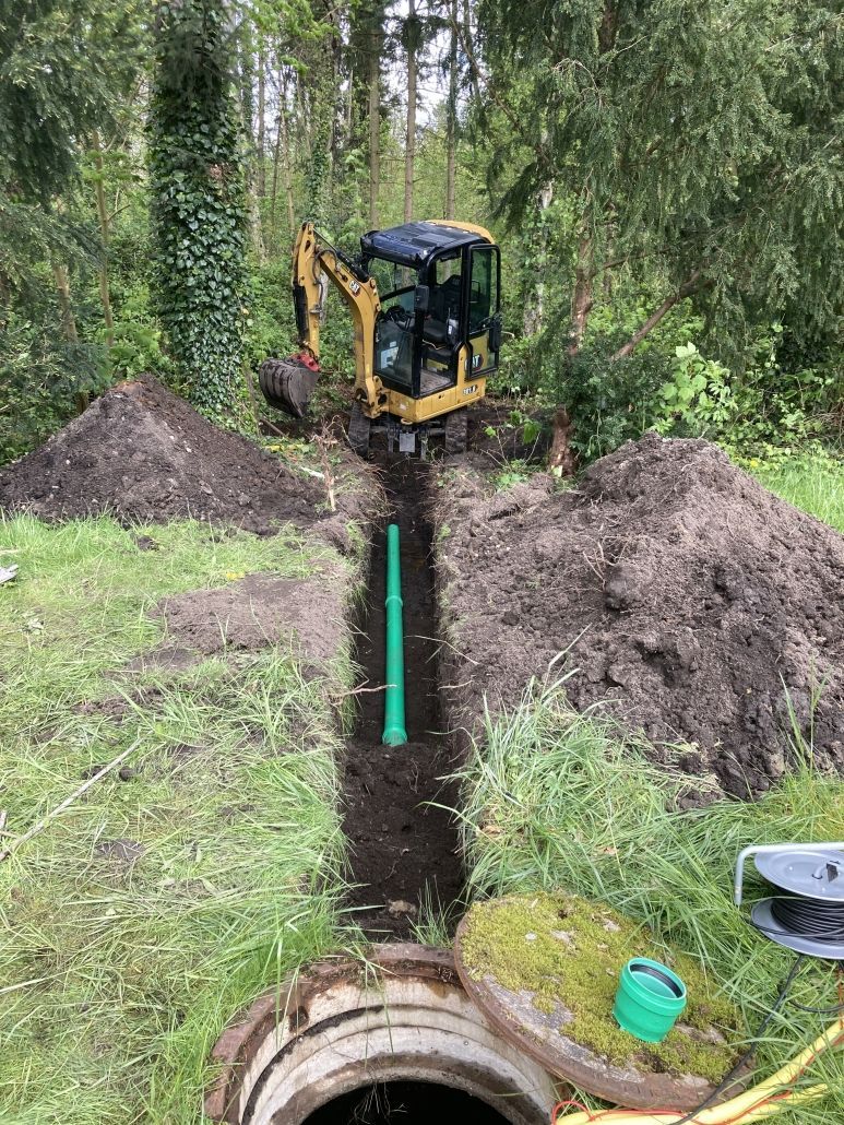 Baumfällung