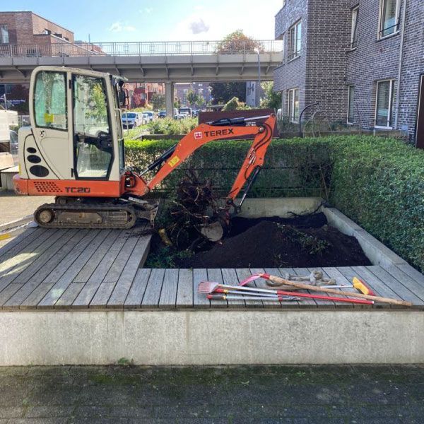 Baumfällung