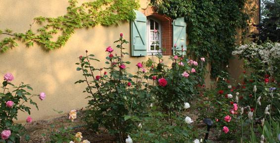 Jardin