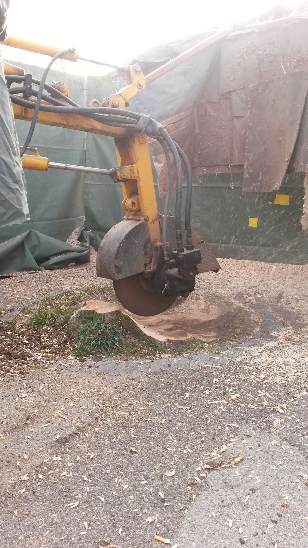 Francis Montavon et Fils SA