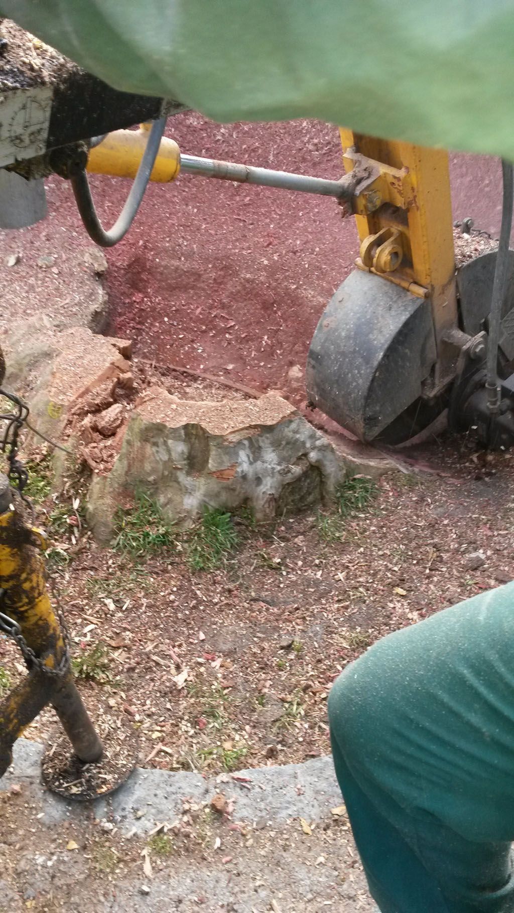 Francis Montavon et Fils SA