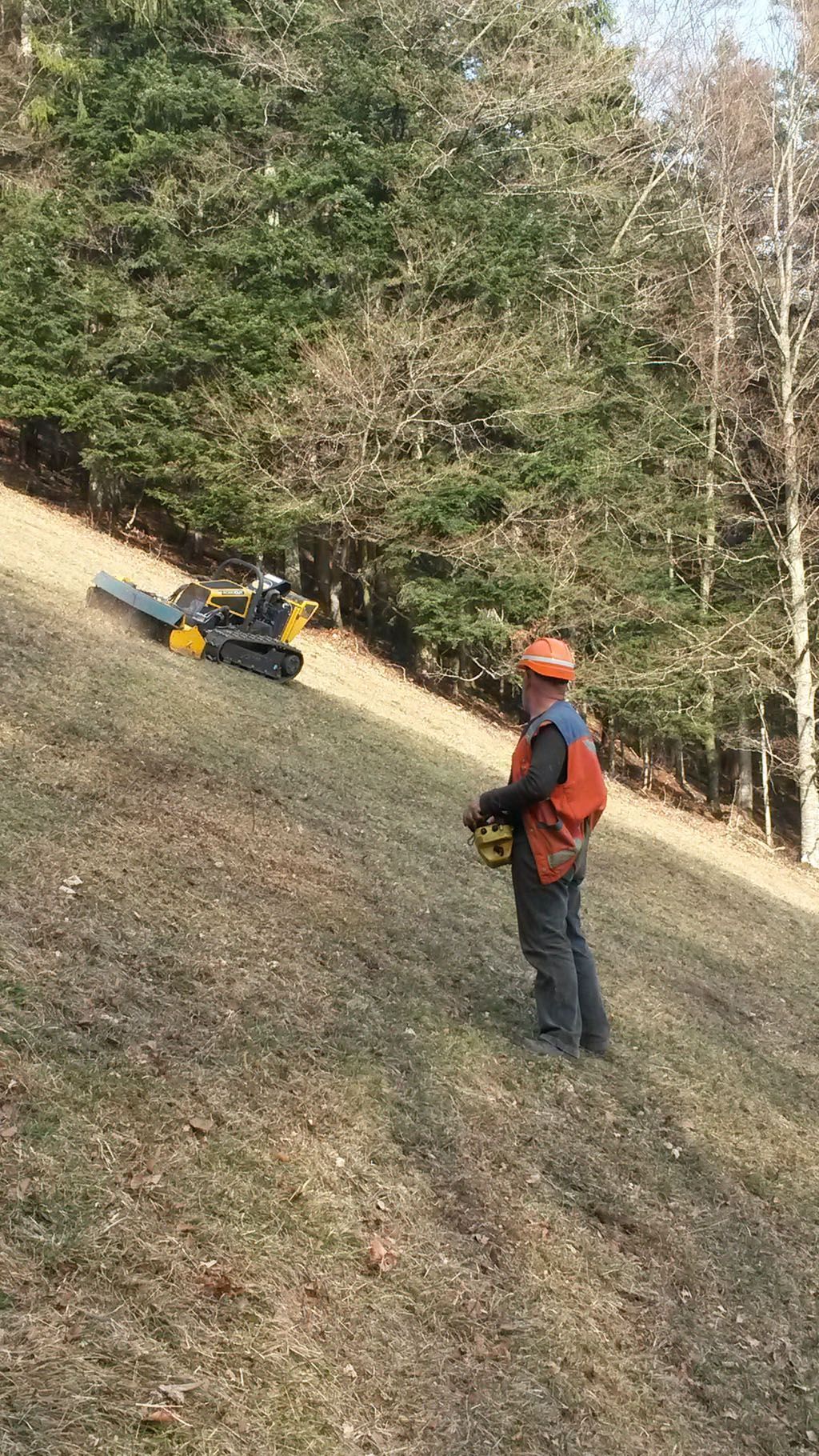 Francis Montavon et Fils SA