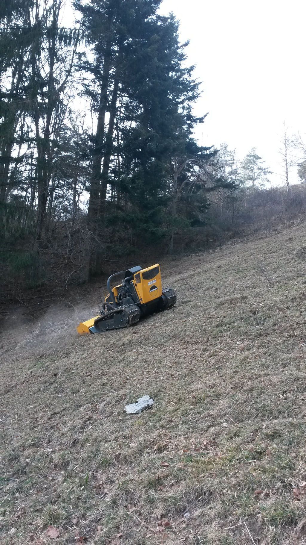 Francis Montavon et Fils SA