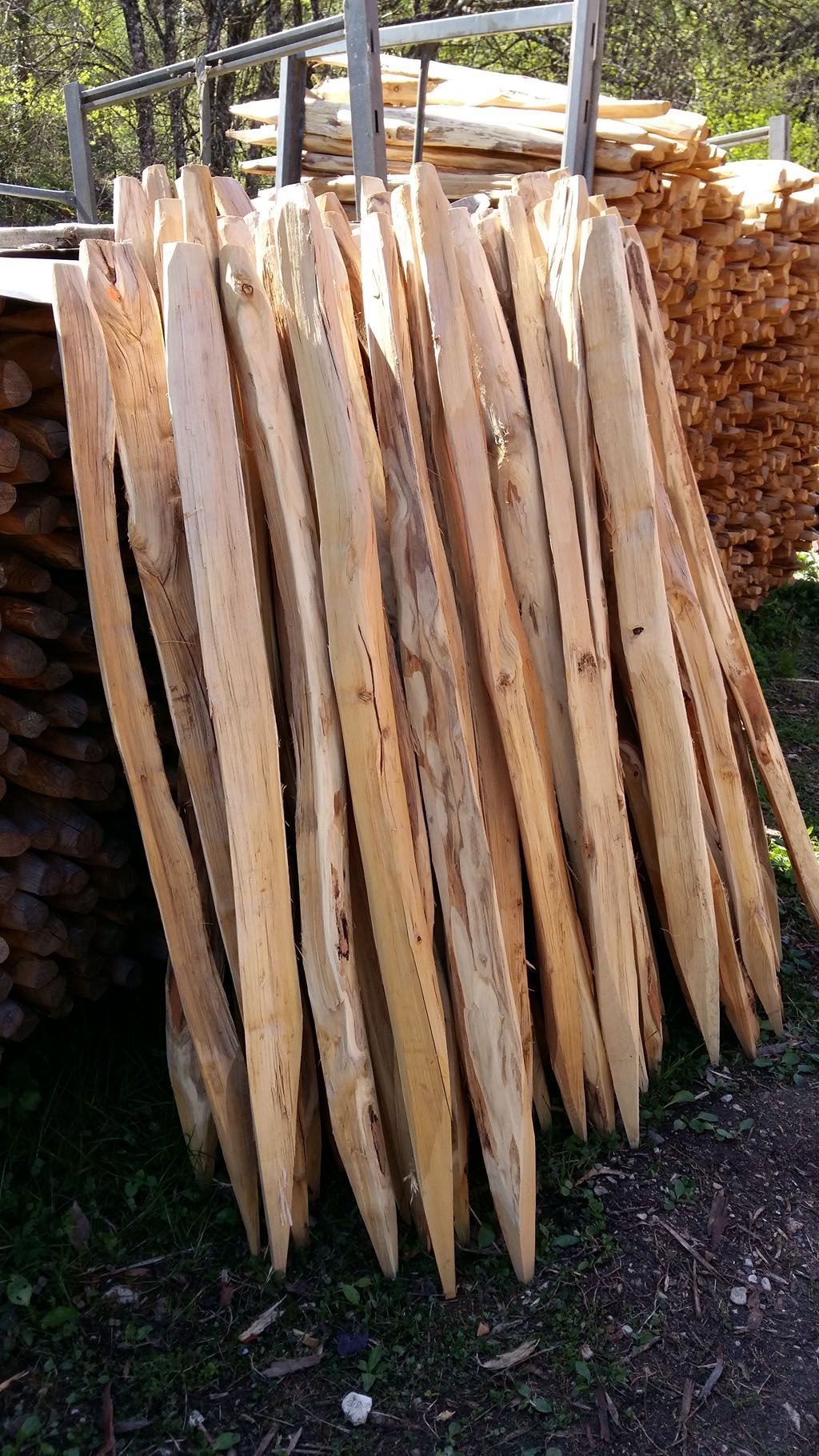 Francis Montavon et Fils SA