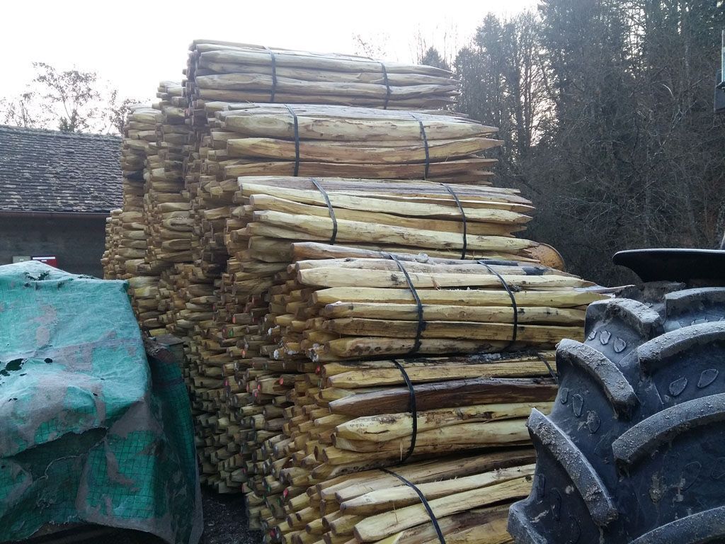 Francis Montavon et Fils SA