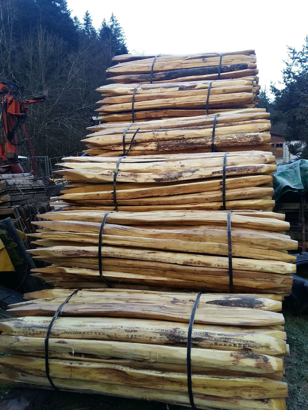 Francis Montavon et Fils SA