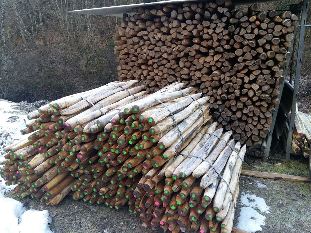 Francis Montavon et Fils SA