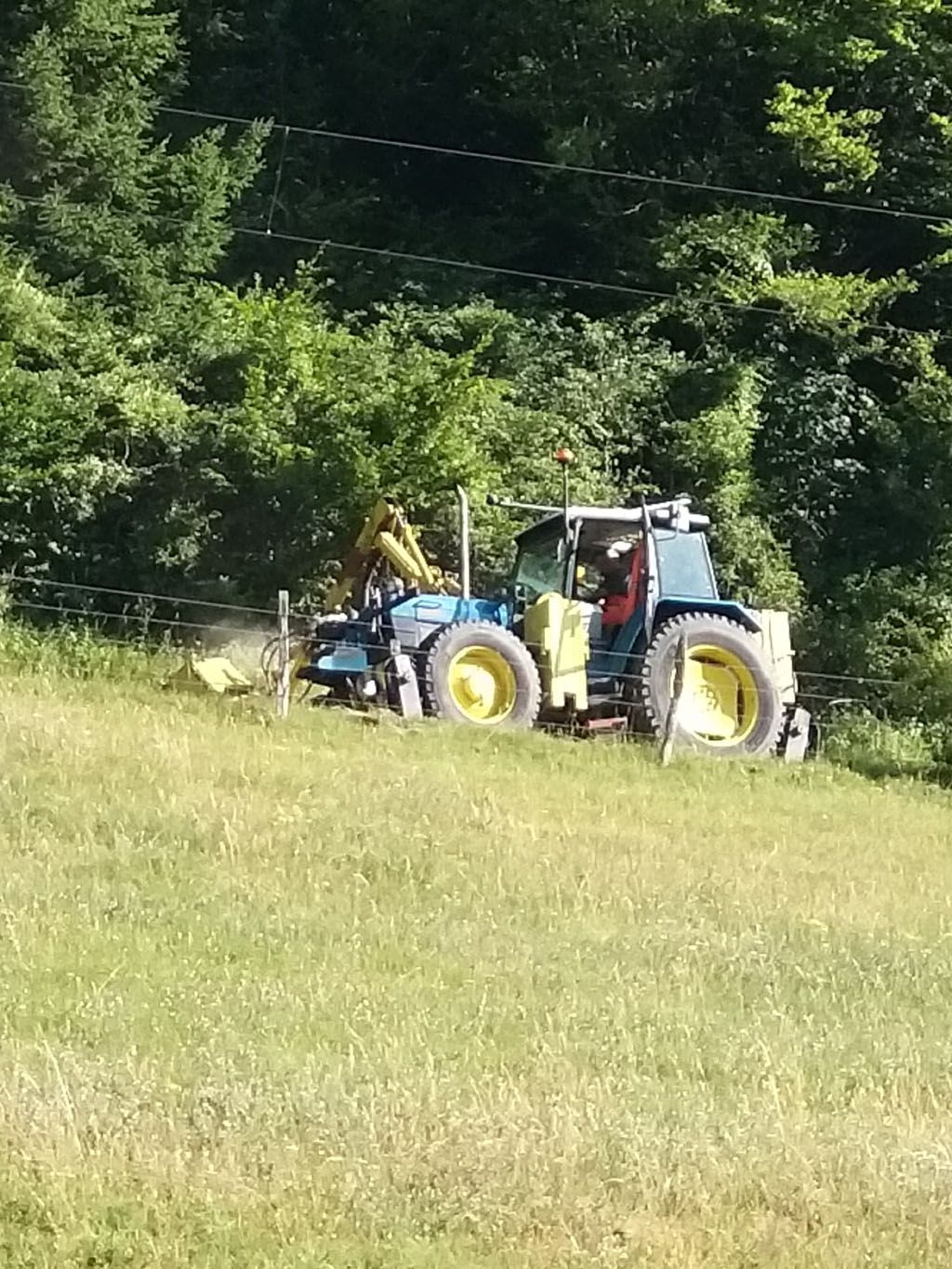 Francis Montavon et Fils SA