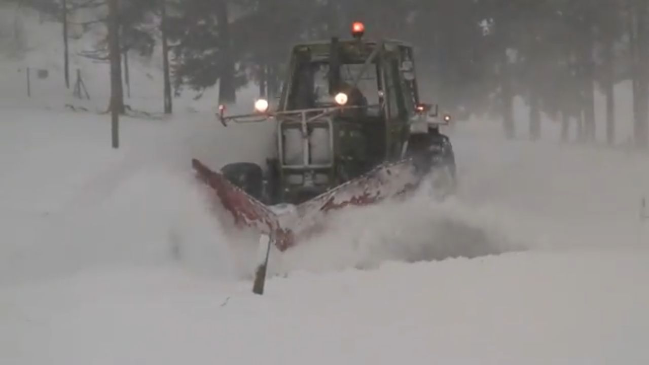 Francis Montavon et Fils SA