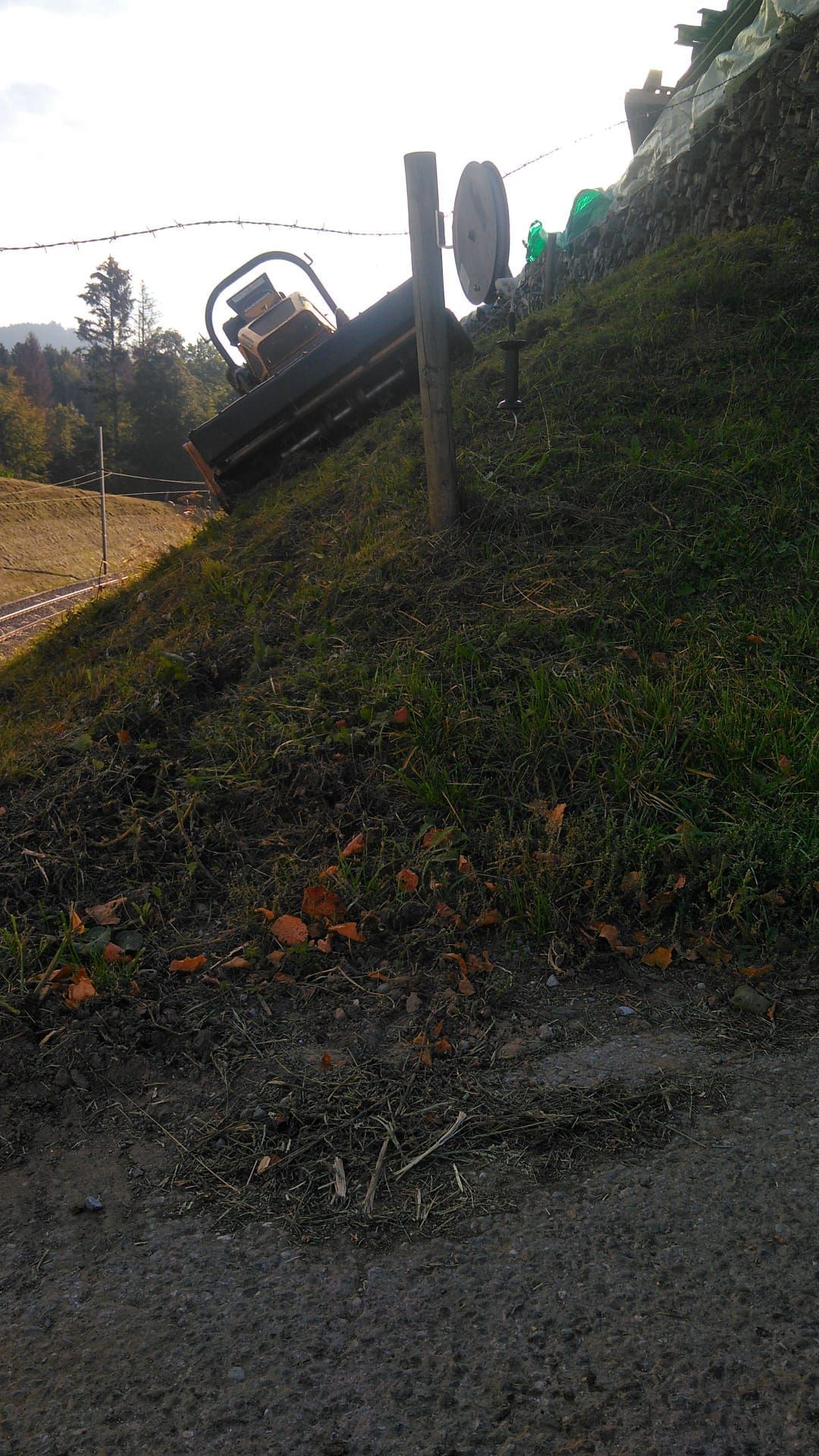 Francis Montavon et Fils SA