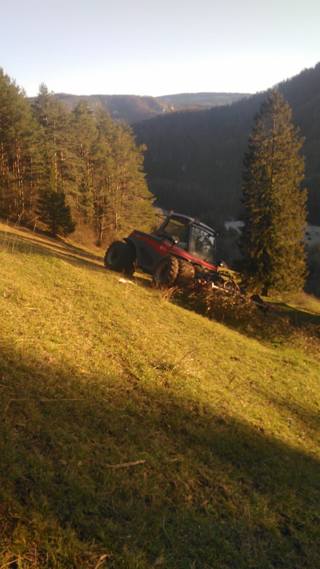 Francis Montavon et Fils SA