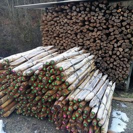 Francis Montavon et Fils SA