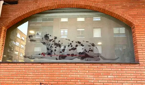 Un perro dálmata está sentado en una ventana sobre una pared de ladrillos.