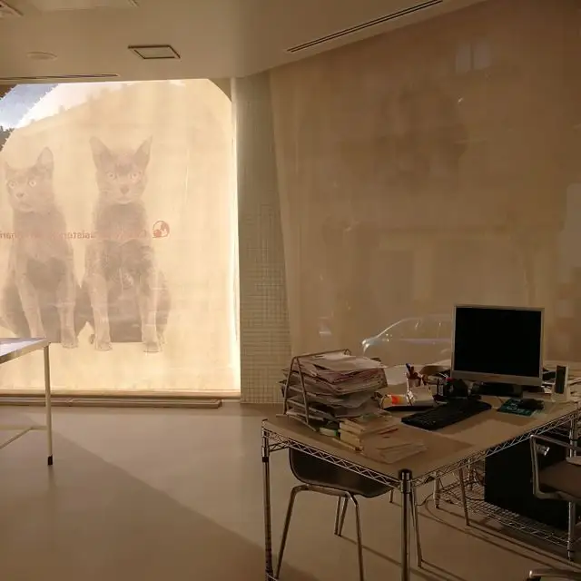 Un escritorio con una computadora y una imagen de dos gatos en la pared detrás de él.