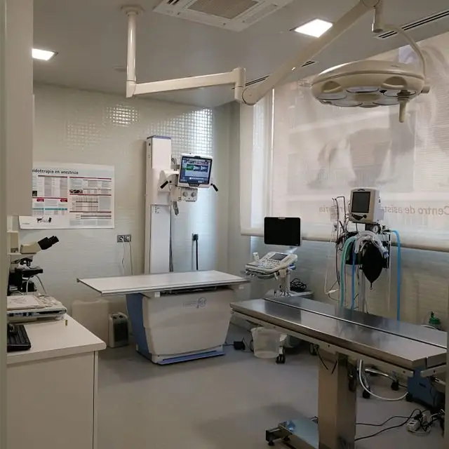 Un quirófano veterinario con mesa, microscopio y monitores.