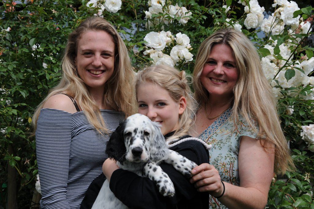 English Setters - Running To Stand Still