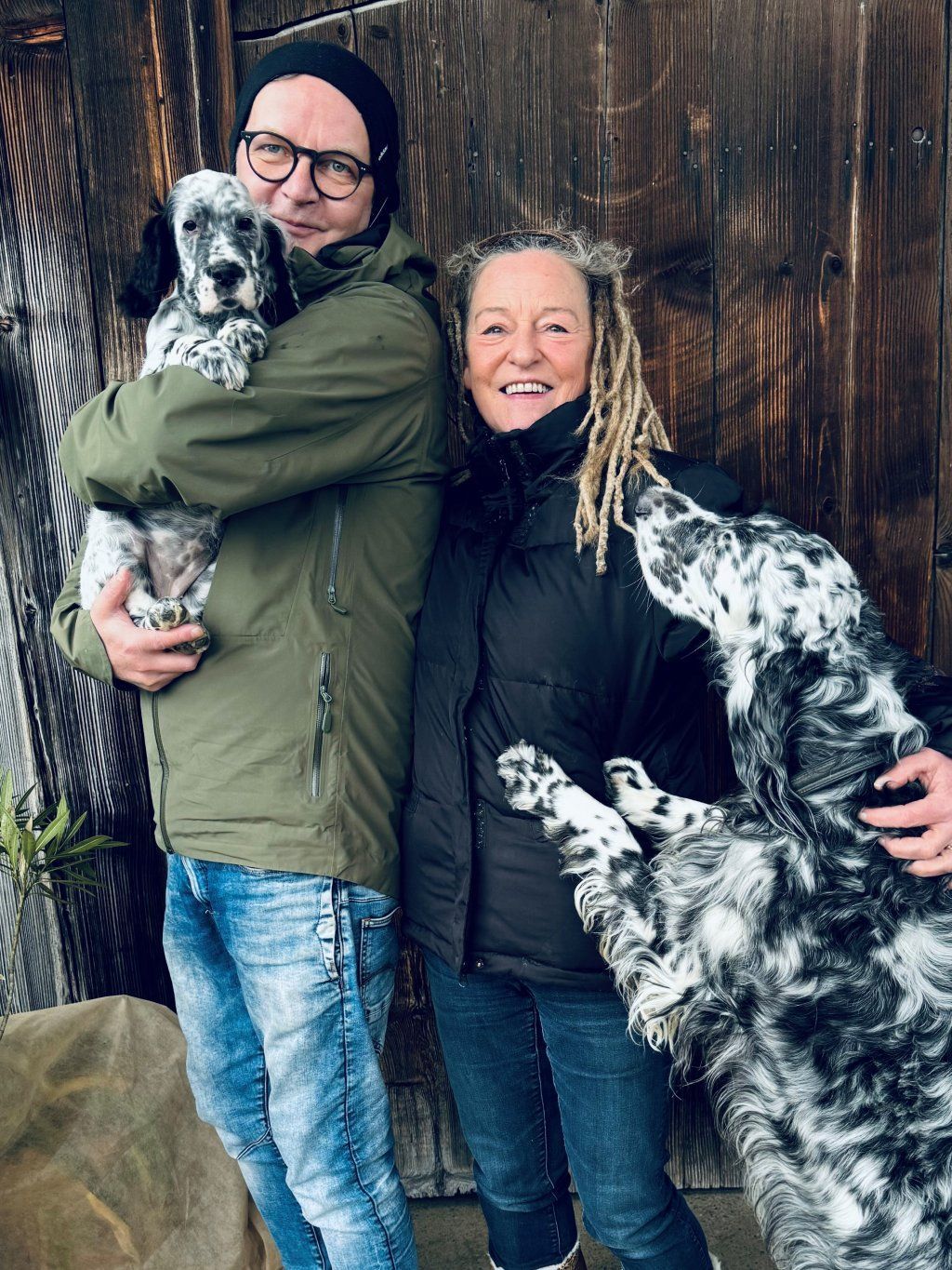 English Setters - Running To Stand Still