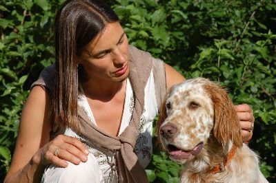 English Setters - Running To Stand Still