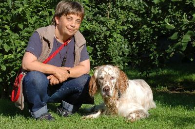 English Setters - Running To Stand Still