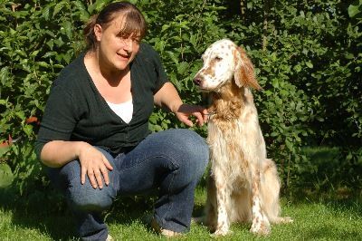 English Setters - Running To Stand Still