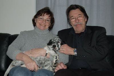 English Setters - Running To Stand Still