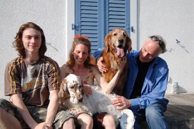 English Setters - Running To Stand Still