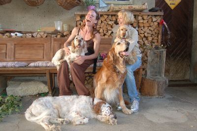 English Setters - Running To Stand Still