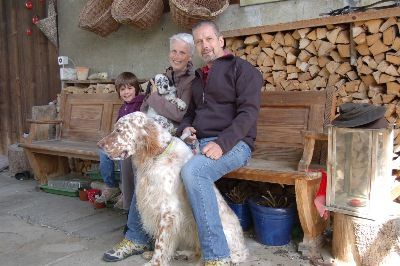 English Setters - Running To Stand Still