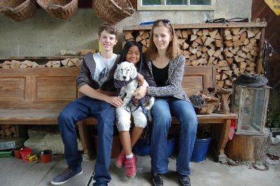 English Setters - Running To Stand Still