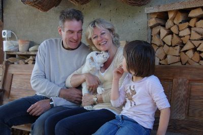 English Setters - Running To Stand Still