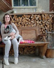 English Setters - Running To Stand Still