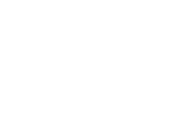 English Setters - Running To Stand Still