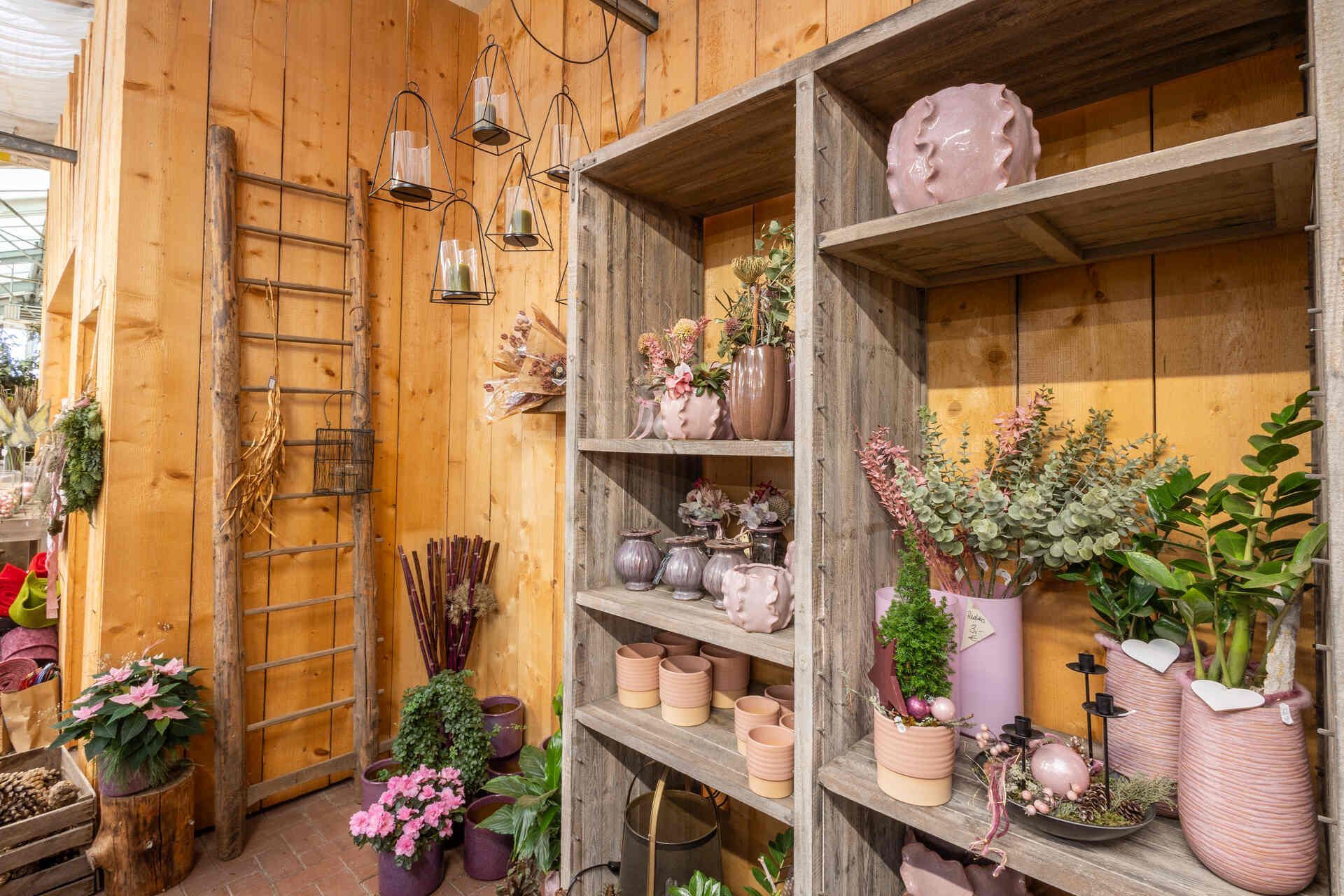 Ein Raum voller Regale voller Topfpflanzen und Blumen.