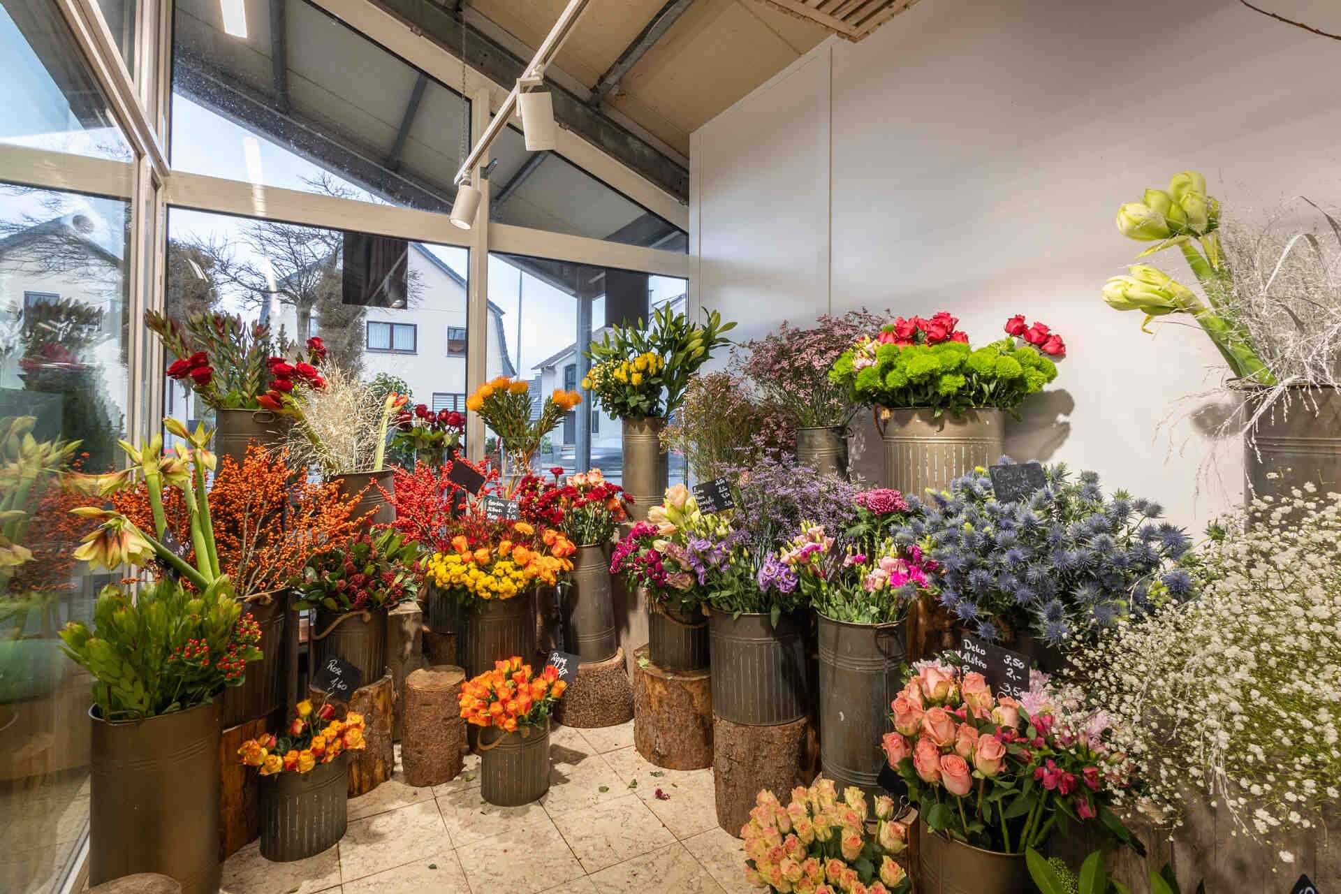 Ein Raum voller Topfblumen in einem Blumenladen.