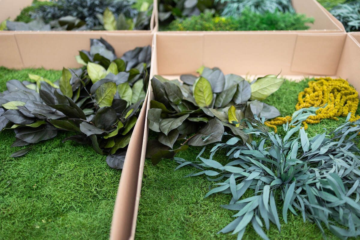 In der box sind viele unterschiedliche pflanzenarten.