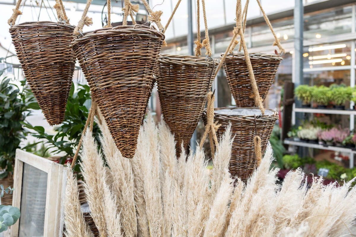 Ein Haufen Hängekörbe gefüllt mit Pampasgras in einem Gewächshaus.
