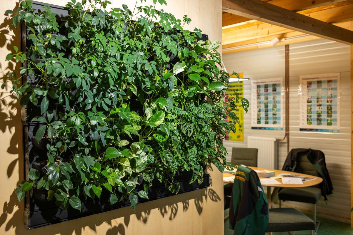 Eine Wand mit vielen grünen Pflanzen in einem Raum.