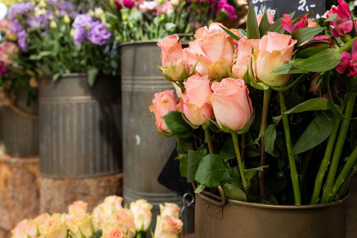 In den Eimern sind viele verschiedene Blumenarten.