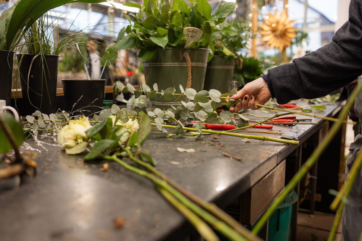 Eine Person schneidet Blumen auf einem Tisch in einem Gewächshaus.
