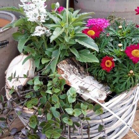 Auf einem Tisch steht ein Korb voller Blumen und Pflanzen.